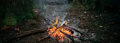 incendi boschivi